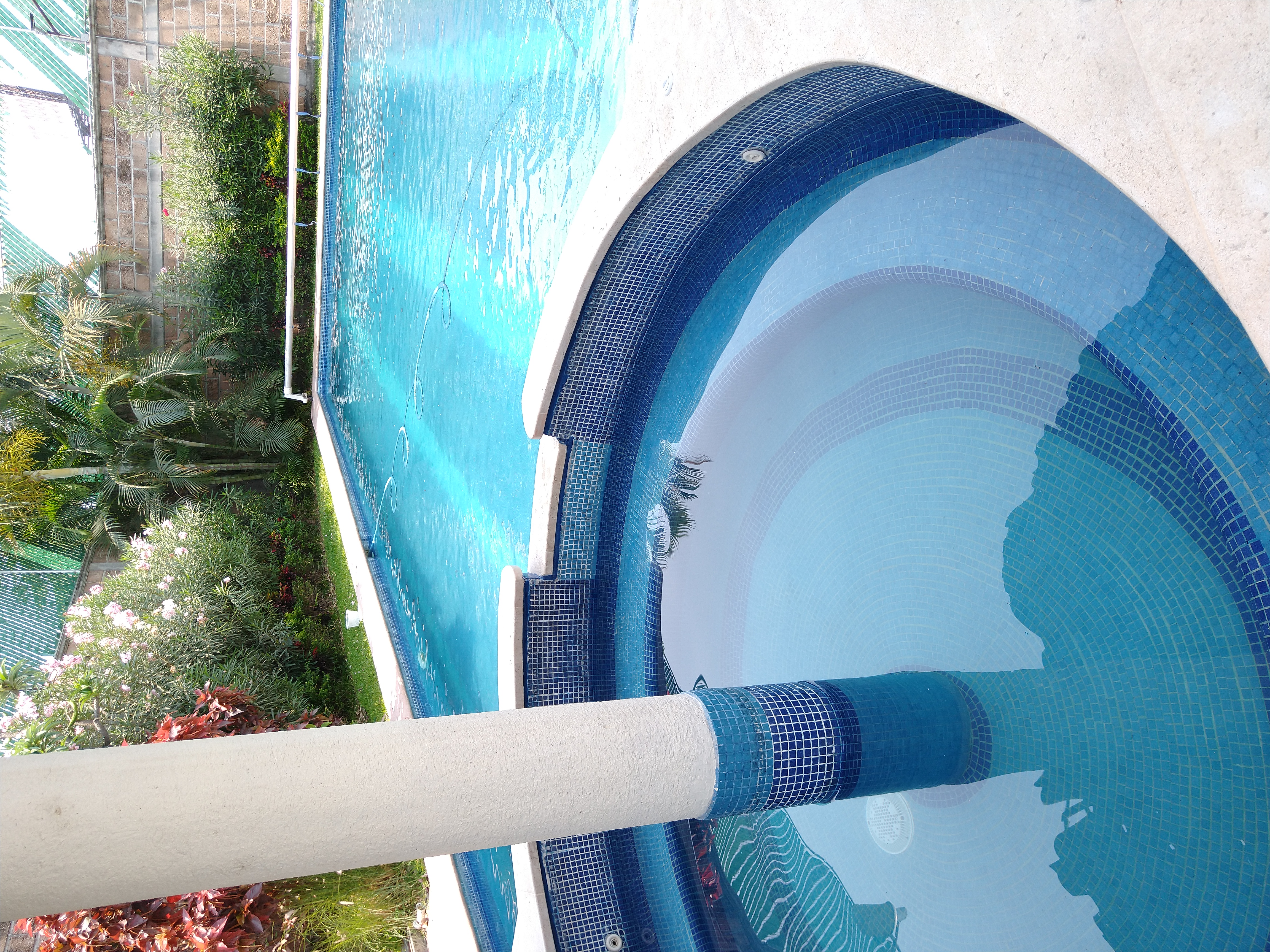 Cómo preparar tu alberca para la temporada de verano